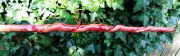 Natural Vine Twisted Olive Wood Wand Witch Pagan Wizard LARP Renaissance Faire Z