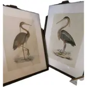 Set of 2 Blue Heron Pictures Wall Art Heron in the 16L" x 12W" Lotus Pond