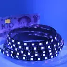 5m 300 LED Strip Light Ultraviolet 365nm Uv Blacklight 5050 Dc 12v for Uv Curing