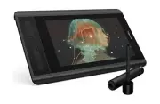 XP-PEN Artist12 11.6 Inch FHD Drawing Monitor Pen Display Graphic Monitor wit...