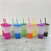 10Pcs Color Changing Cups with Lids and Straws 23.6oz Reusable Plastic Tumblers