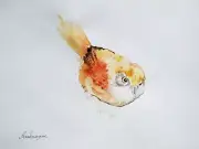 Flycatcher, Birds, Watercolor artwork, Handmade, Original painting on paper