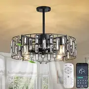 Jaycomey 19.6in Caged Ceiling Fan with Light,Black - Bladeless Crystals Fandelier Ceiling Fan for Kitchen, Bedroom, Living Room - Remote Control, 6 Speed, Timing
