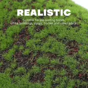 Simulation Moss Turf Landscape Decoration Artificial Turf Realistic Moss Grass