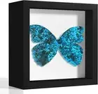 Picrit 5X5 Shadow Box Frame, Display Case Box with High Definition Real Glass an