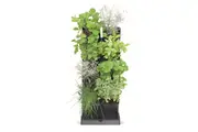 VERTICAL GARDEN MINI CASCADE