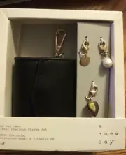a new day ear Bud Case & Semi Precious Charms 1 Set