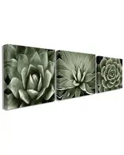 Stupell The Stupell Home Decor Collection Black and White Contrast Succulent Bloom Trio 3pc Stretched Canvas Art Set
