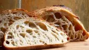UNIQUE SOURDOUGH STARTER yeast flour bread mix San Francisco BEAST bonanza NEW