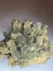 360g Natural Crystal epidote symbiotic crystal 10×6×8cm