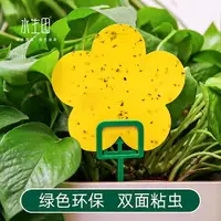 在飛比找樂天市場購物網優惠-粘蟲板家用黃板藍板雙面誘蟲粘飛蟲陽臺小黑飛大棚果園果蠅誘捕器