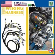 Engine Harness Budget D & B-Series CNCH-OBD2-1 for Honda Civic Integra B16 B18 (for: Honda)
