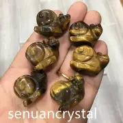 5pcs Natural Tiger's eye jasper quartz Crystal Snail Carved Skull reiki Healing