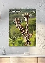 Giraffes Calendar 2026