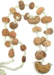 Indrakshi Mala: Complete 1-21 Mukhi Rudraksha Bead Rosary Necklace.