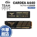 T-FORCE 十銓 CARDEA A440 1TB 2TB M.2 PCIE SSD 黑曜女神 固態硬碟 雙散熱片