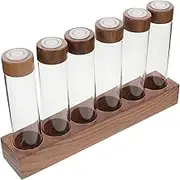 OFFSCH 6 Single Dosing Glass Vials Bean Storage Walnut Base Airtight Lids for Coffee Tea Spices Glass Bean Tubes Stand