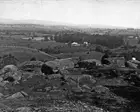 New 8x10 Civil War Photo: View from Summit of Little Round Top Hill, Gettysburg