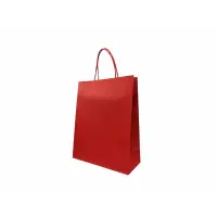 在飛比找蝦皮購物優惠-紅色紙袋-中袋(紙繩款)/聖誕節紙袋/新年紙袋【台灣現貨 】