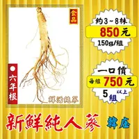 在飛比找樂天市場購物網優惠-D3【新鮮純人蔘(純蔘不噴酒)】✔韓庄の錦山▪6年根(食品)