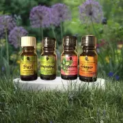 The Awesome Foursome -Basil, Grapefruit, Peppermint & Ginger Pure Essential Oils