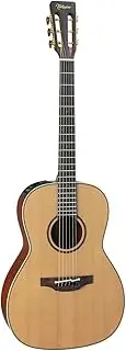 Takamine Pro Series 3 New Yorker AC/EL Guitar