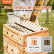 Bee Hive Starter Kit 40 Frame Wooden Beehive 2 Deep 2 Medium Boxes Acrylic
