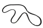 Genuine GM Sunroof Window Seal 20929619