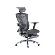 SIHOO V1 Office Chair with Premium Mesh Seat Headrest Armrest Lumbar Support and Footrest (Black)