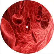 Slipmat Slip Mat for Electrohome or Single 7" DJ Turntable Record Player BLOOD
