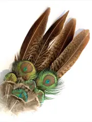 10pcs Natural Miniature Peacock Pheasant Feathers 4-16cm DIY Art Craft Decor