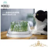 在飛比找生活市集優惠-【MOBOLI 貓卜力】秘密森林貓草種植飼料碗 (貓餐碗 貓