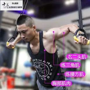 【台灣公司 】 吊環 健身成人家用體操引體嚮上 脊椎牽引康復訓練 室內健身器材拉伸