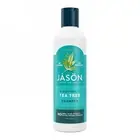Shampoo Tea Tree Purifying 12 Oz