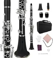 Yinfente Professional C Key Clarinet Ebonite Wood 2 Barrels With Case Cloth Reed Accessories (c-key)