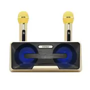 SD301 Wireless Microphone Stereo Portable Mobile Phone Bluetooth Speaker Removable KTV Wireless Surround Sound Subwoofer Speakers Karaoke Boombox Gold