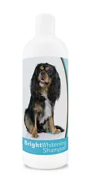Healthy Breeds Cavalier King Charles Spaniel Bright Whitening Shampoo 12 oz