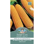 Mr Fothergill's Kelvedon Glory Sweet Corn Vegetable Seeds