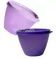TUPPERWARE Refrigerator Bowls 14 oz Grape Purple + Daisy Nesting Stacking Set 2