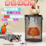 【小乖】寵物保溫燈✅整組含燈泡 25~100W(瓦)烤漆款 倉鼠保暖燈＼金絲熊保溫燈＼鸚鵡保暖燈＼小寵物保暖燈 防燙陶瓷