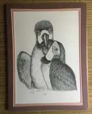 Macaws Parrots Love Birds Original Pen & Ink 1988 Artist Signed