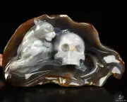9.3" Gray & White Agate Carved Crystal Skull & Leopard, Crystal Healing