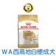 《ROYAL CANIN 法國皇家》BHN 西高地白梗成犬WA 1.5KG (可超取)【培菓寵物】