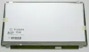 HP 15-F039WM 15.6 HD NEW LED LCD Screen Display