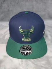 NBA CHICAGO BULLS GRASSLAND MITCHELL & NESS FITTED MENS HAT SZ 7 5/8 BLUE GREEN