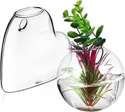 Abaodam 2Pcs Wall Planters Borosilicate Glass Hanging Planters for Hydroponics Easy Installation Wall Decor Terrarium Vases Indoor Gardening Accents for Home