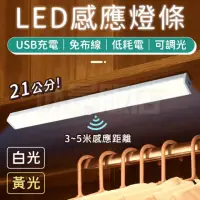在飛比找momo購物網優惠-LED人體感應燈條21CM(白光)