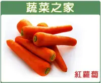 在飛比找Yahoo!奇摩拍賣優惠-【蔬菜之家】C01.紅蘿蔔(胡蘿蔔)種子5.2克(約3000