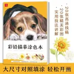 【限時免運】彩鉛描摹塗色本 彩鉛上色高清綫稿 臨摹畵冊 240G彩鉛用紙