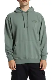 Billabong Wave Washed Hoodie in Fern at Nordstrom, Size X-Large
